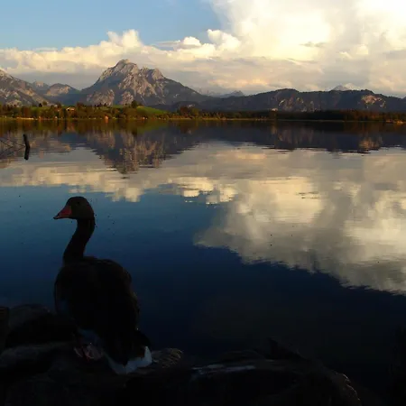 Appartement Hintere Schoene *