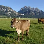 Apartman Hintere Schoene Rieden