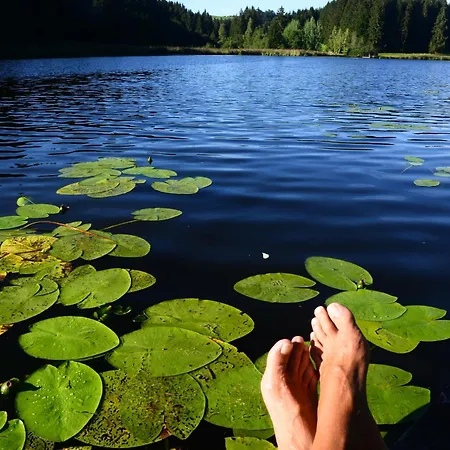 Apartament Hintere Schoene Rieden am Forggensee