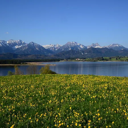 Hintere Schoene Rieden am Forggensee
