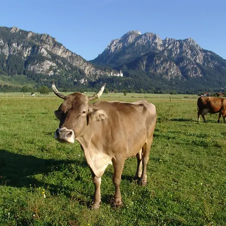 Apartment Hintere Schoene Rieden am Forggensee